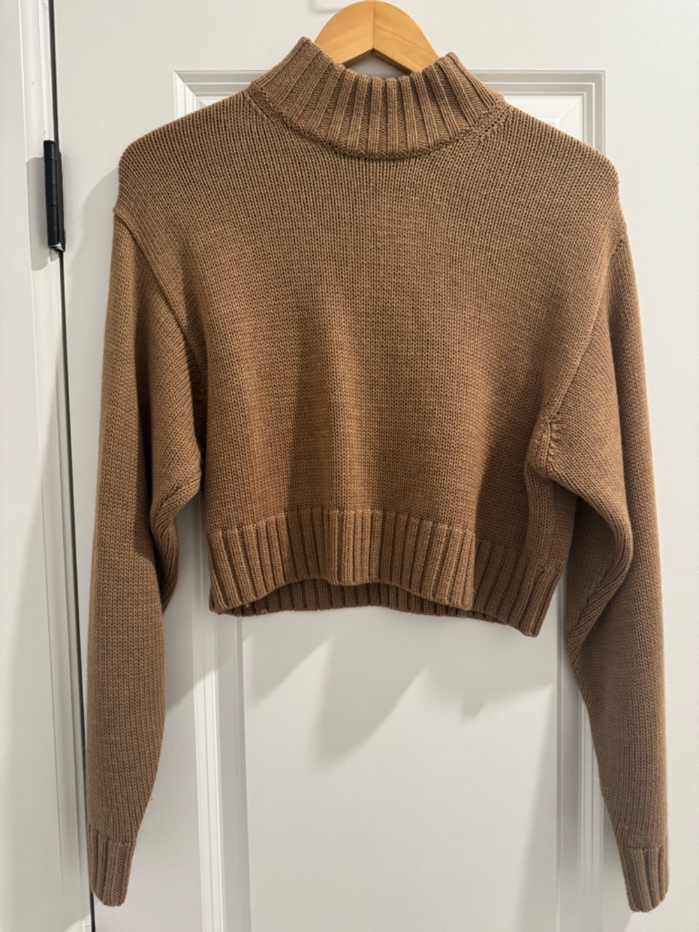 Wilfred Free by Aritzia Cropped Turtleneck Sweater
